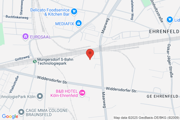 Schleese GmbH