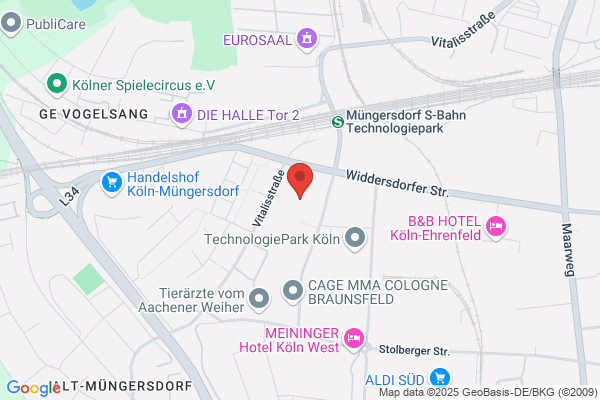 Altair Engineering GmbH