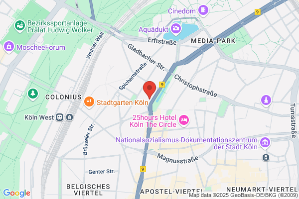 Friese Software GmbH