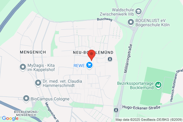 Netto City