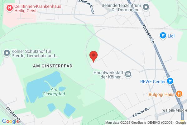 Hundeschule Buddy