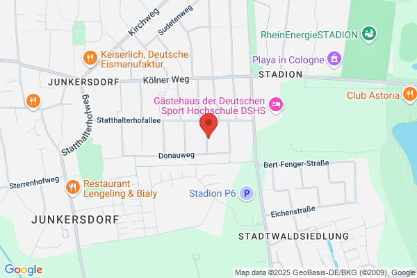 ICD Instiute of Creative Decision GmbH