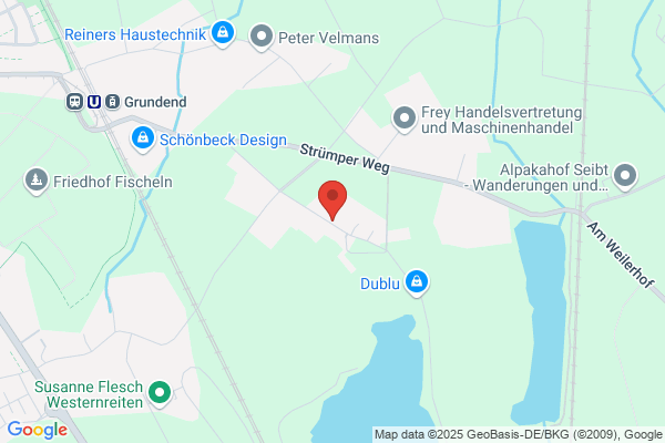 Container Mini Dienst &