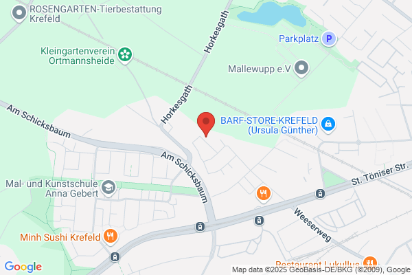 Usui-Reiki-Grossmeisterin / Usui-Reiki-Therapeutin