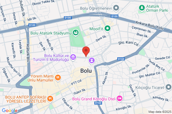 Erdogan Bolu