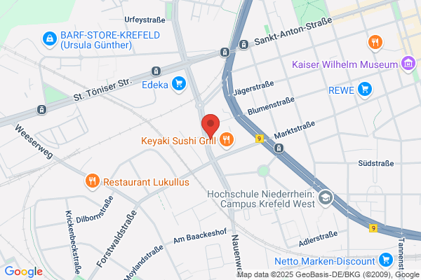 Güsken Seidenweberei GmbH & Co. KG, Ludwig