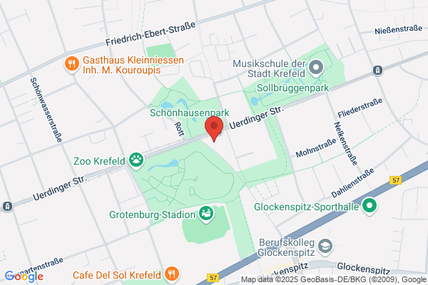 Die Zahnfee