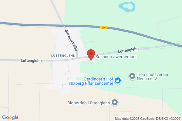 Zwernemann