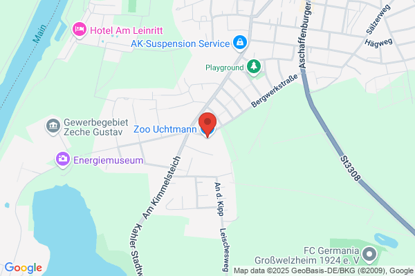 Uchtmann