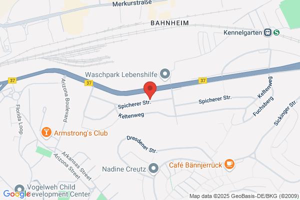 Merz Entruempelungen