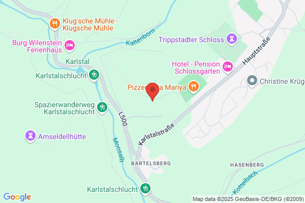 Evi's Katzen & Kleintierstube