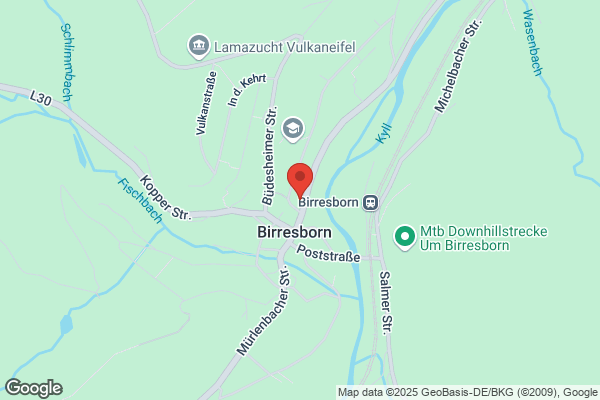 Medien-Print and More