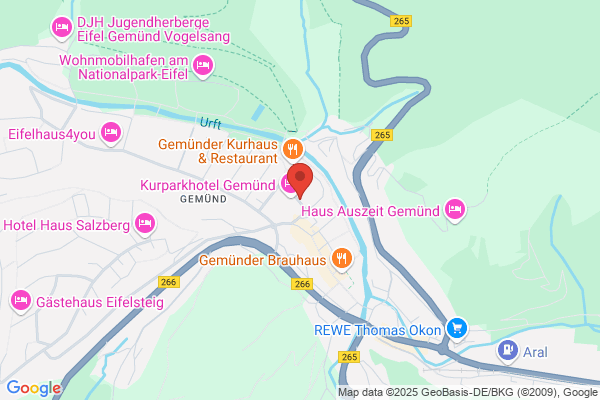 PENSION RAU