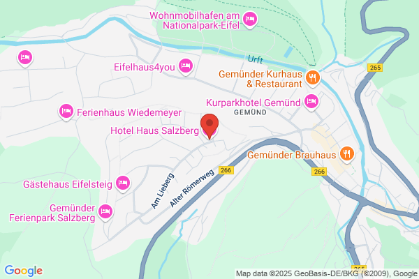 Hotel Haus Salzberg