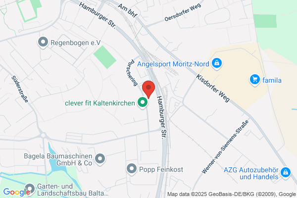 SAAB Automobile Hildebrandt