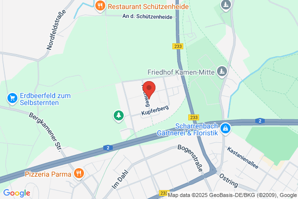 BSS GmbH