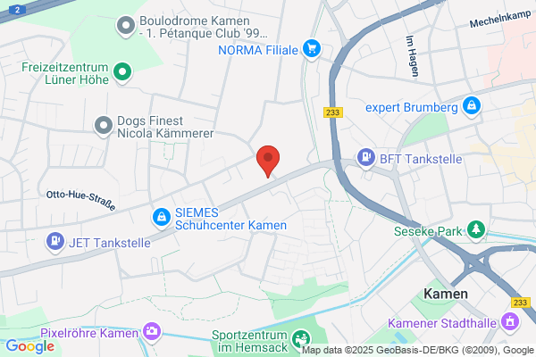 Fiene GmbH & Co. KG