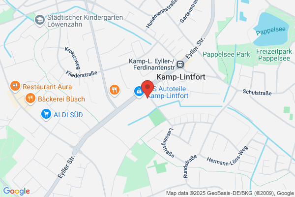 Schwabe GmbH