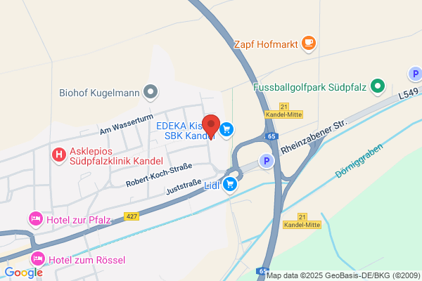 Blumenshop Gänseblümchen