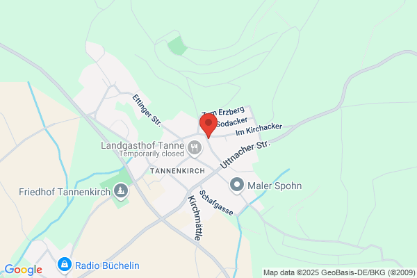 Hanspeter Senn
