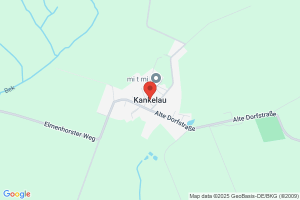 Ute Olsson-Wollner
