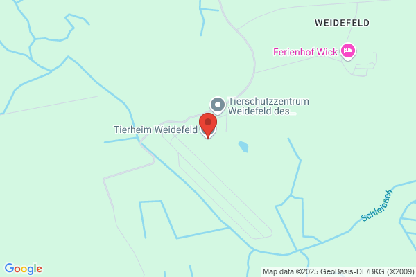 Tierheim Weidefeld
