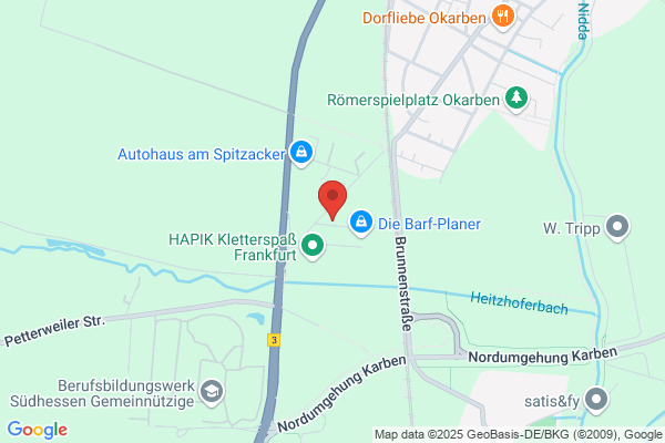 Weihnachtsbaum mieten Frankfurt