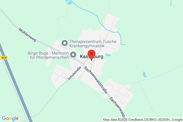 Sorin-Biomedica NDL Nord, Inh. Claus Spethmann