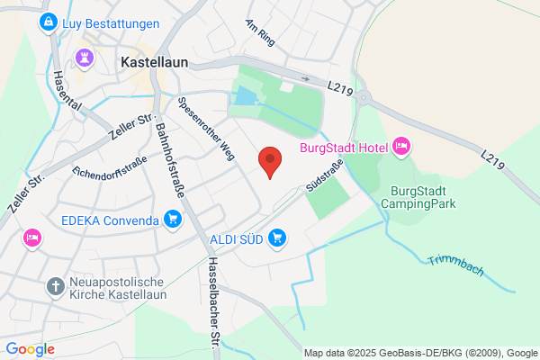 Lothar Link