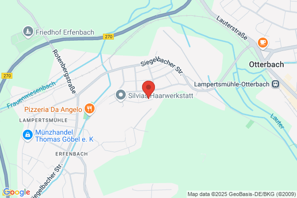 DVS GmbH LBVD RLP