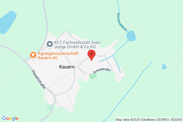 Basis Steuerungssysteme GmbH