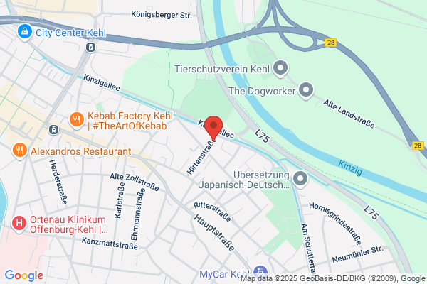 Dartfreunde Hanauerland e.V.