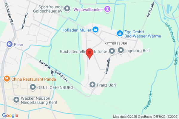 Vogel Norbert Kommunikation In Bewegung