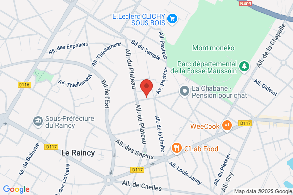 FRANCE REGIE GmbH