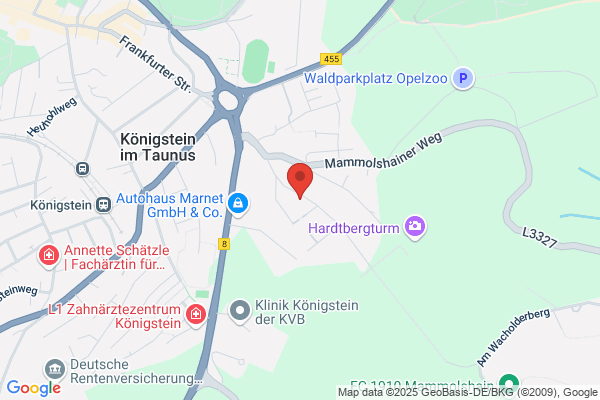 rechtsanwalt lolling