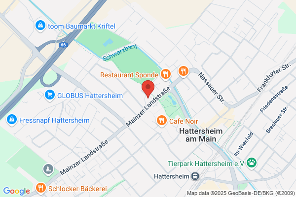 Kulturforum Hattersheim e.V. Musikschule