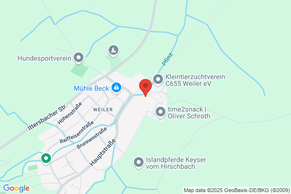 Die Stopfnadel