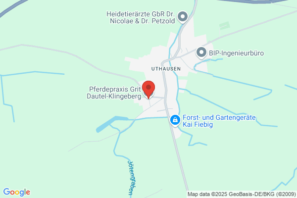 Pferdepraxis Grit Klingeberg