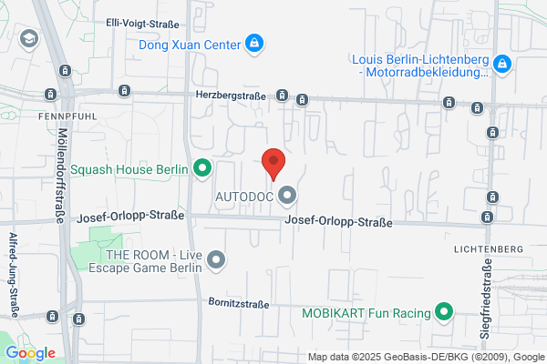 Fahrzeug-Elektro-Service