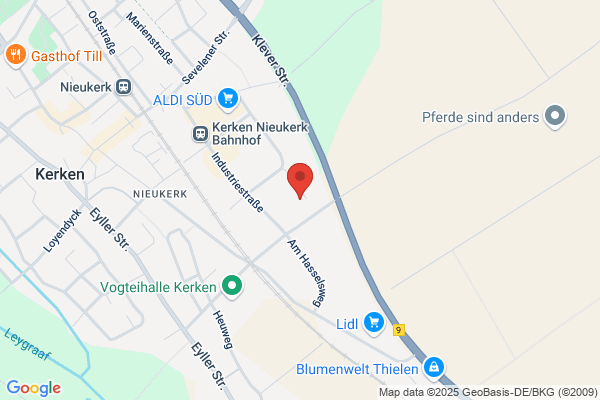 Rhiem GmbH, Theodor