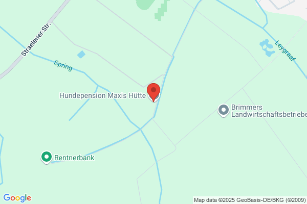 Hundepension Bettina Lohmann