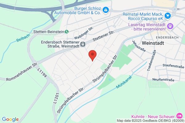 BVF - ImmoBau ihr Haussanierer