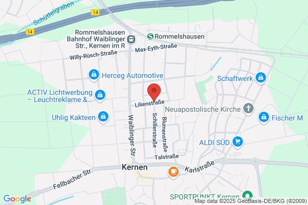 Tanz-Gheti MTG-Consulting-Sprachen