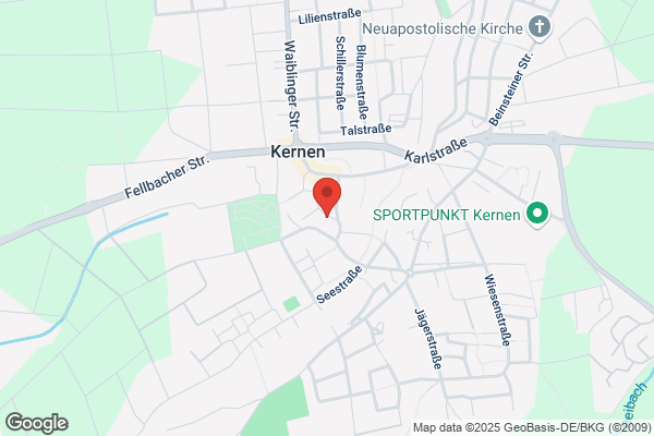 König Krankengymnast