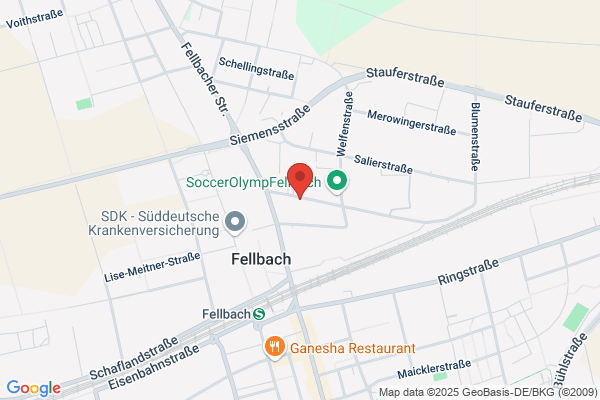 Bucher & Fleischmann PartGmbB Steuerberater