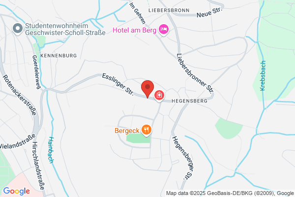 callcar Esslingen Personenbeförderung + Kurierdienst