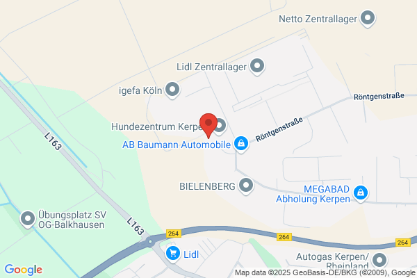 Niessen + Partner Unternehmensberatung