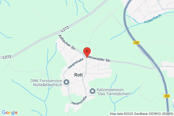 Gasthof/Pension Zur Alten Eiche
