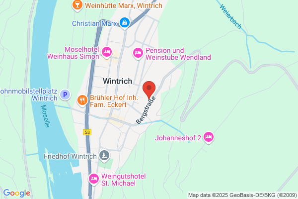 Hotel Moselblick