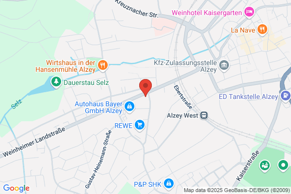 Musikschule des Landkreises Alzey-Worms